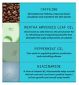 Nioxin System 3 Hair Care Kit with Shampoo, imported from the UK