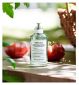 Maison Margiela From The Garden fragrance 100ml (British brand)