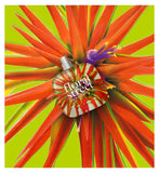 Floral Street Electric Rhubarb Eau de Parfum 50ml, imported from the UK