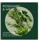 Aveda rosemary mint purifying shampoo 250ml - British product