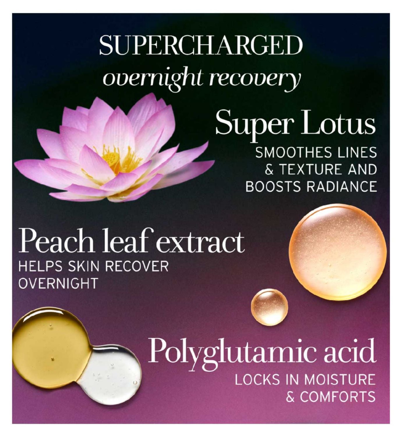 Fresh Lotus Youth Preserve Dream Face Cream 15ml (British brand)