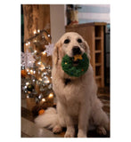 Petface dog toy Christmas Remy Wreath, imported from the UK