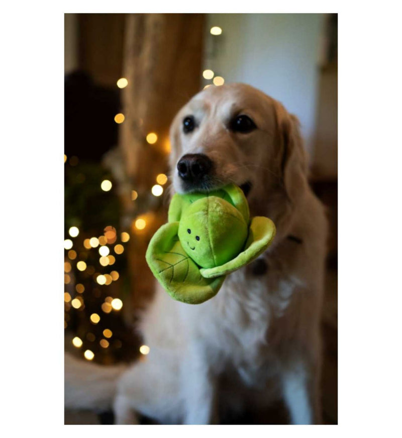 Petface soft dog toy Christmas sprout, UK version
