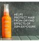 Aveda protective hair veil spray 100ml - British product
