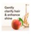Aveeno Apple Cider Vinegar Shampoo 500ml - British product
