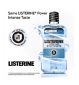 Listerine Total Care Arctic Mint Mouthwash 1L, UK version
