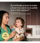 Tommee Tippee Perfect Prep Baby Bottle Formula Feed Maker Chalk (British brand)