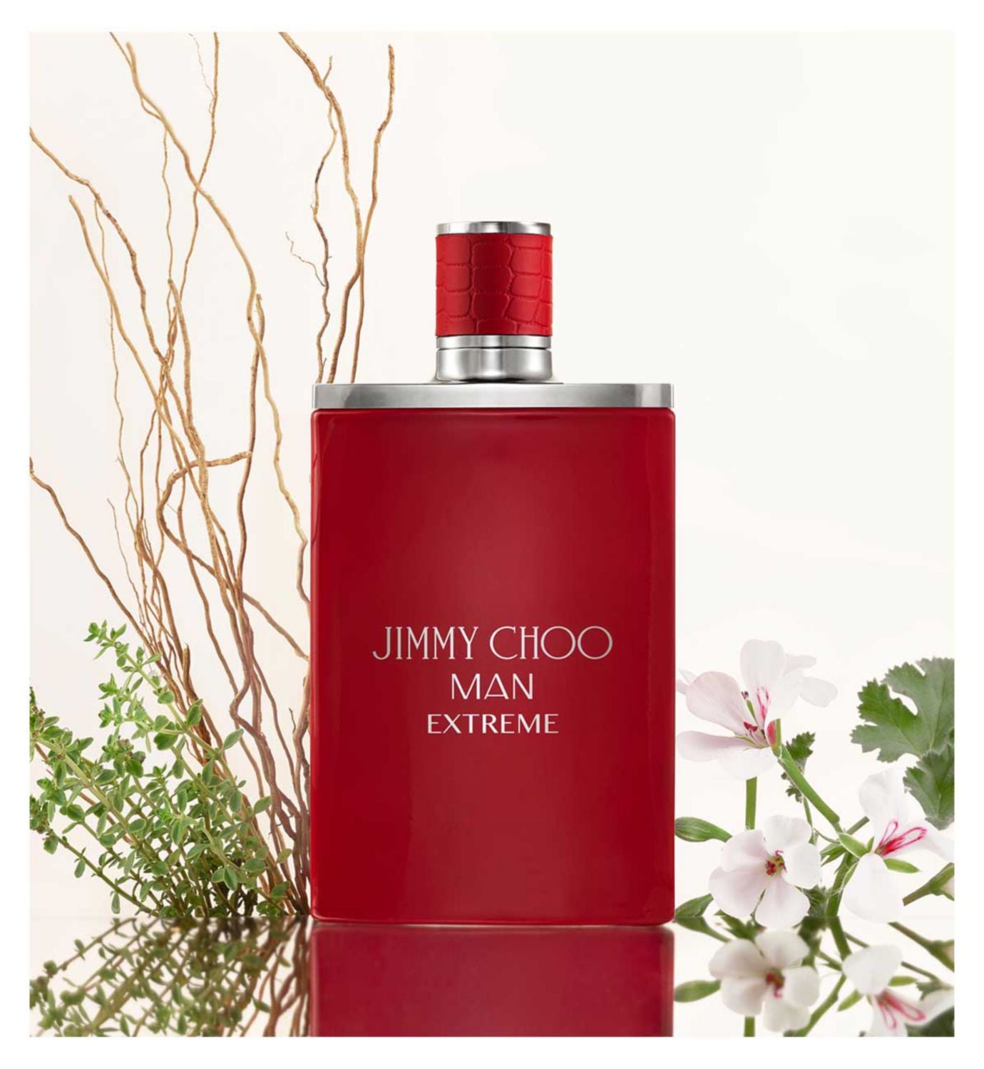 Jimmy Choo Man Extreme Eau de Parfum 50ml, UK version