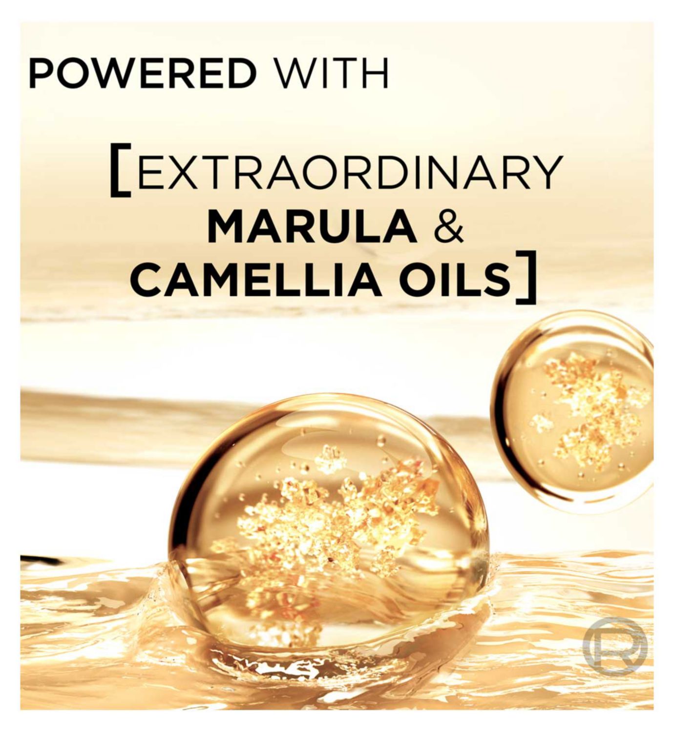 L'Oréal Paris Elvive Extraordinary Oil Shampoo 400ml, imported from the UK