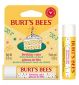 مرطب الشفاه بنكهة كعكة عيد الميلاد من Burt's Bees 4.25 جرام Boots - اشترِ عبر الإنترنت من McGrocer