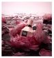 Viktor Rolf Flowerbomb Extreme 100ml (British brand)