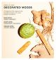 Arkive Decorated Woods Fragrance EDP 50ml - Britisk produkt