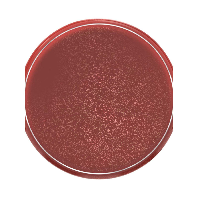 L'Oreal Paris Lumi Le Liquid Blush, imported from the UK