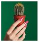 Mylee Gel Polish Fruit Punch 2 x 8ml imported from the UK