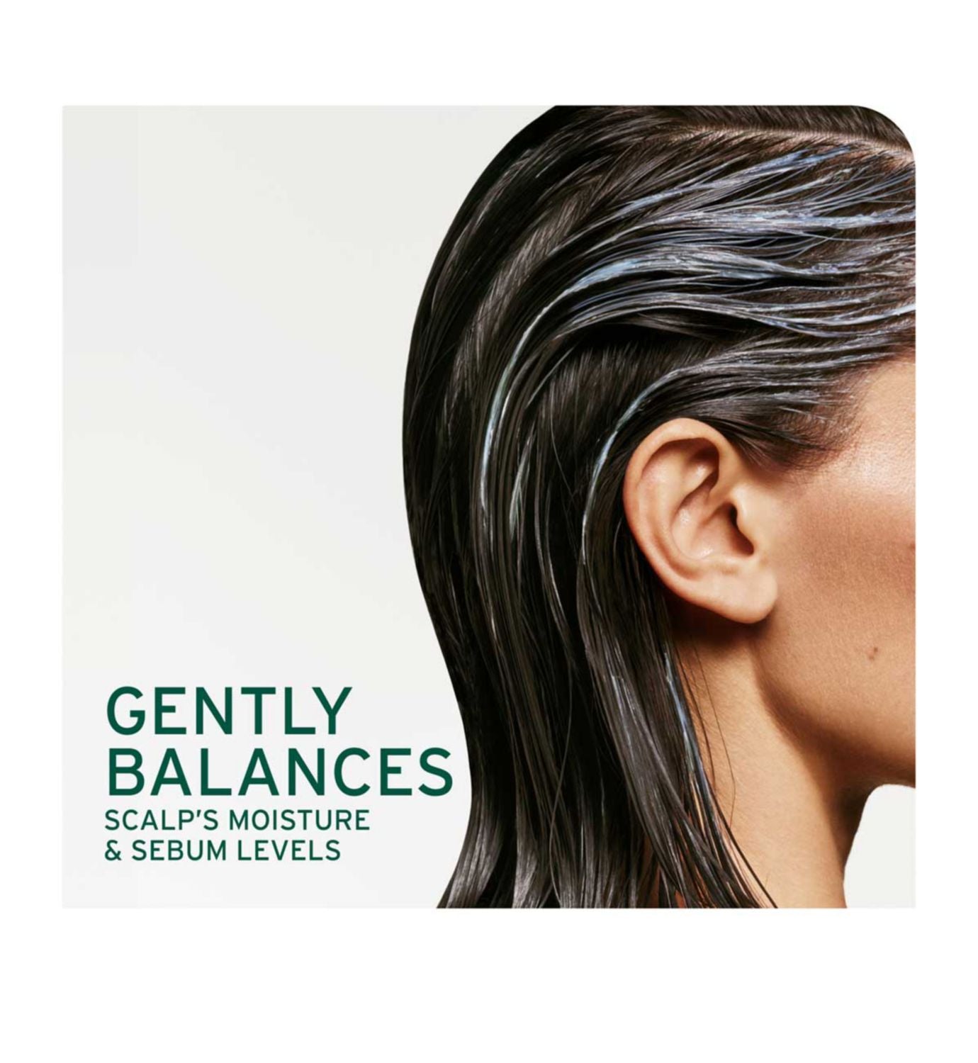 Biolage Scalp-Sync Purify conditioner 200ml (British brand)