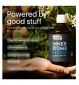 NUZEST Inner Biome Blend Ginger Drink 500ml, imported from the UK