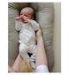 Snuggle Me Organic Infant Lounger Birch (Britische Marke)