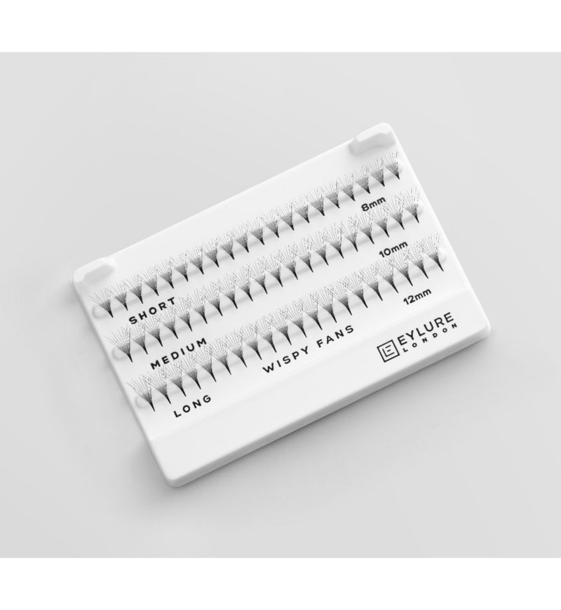 Eylure wispy lash fans 60 pack, UK version