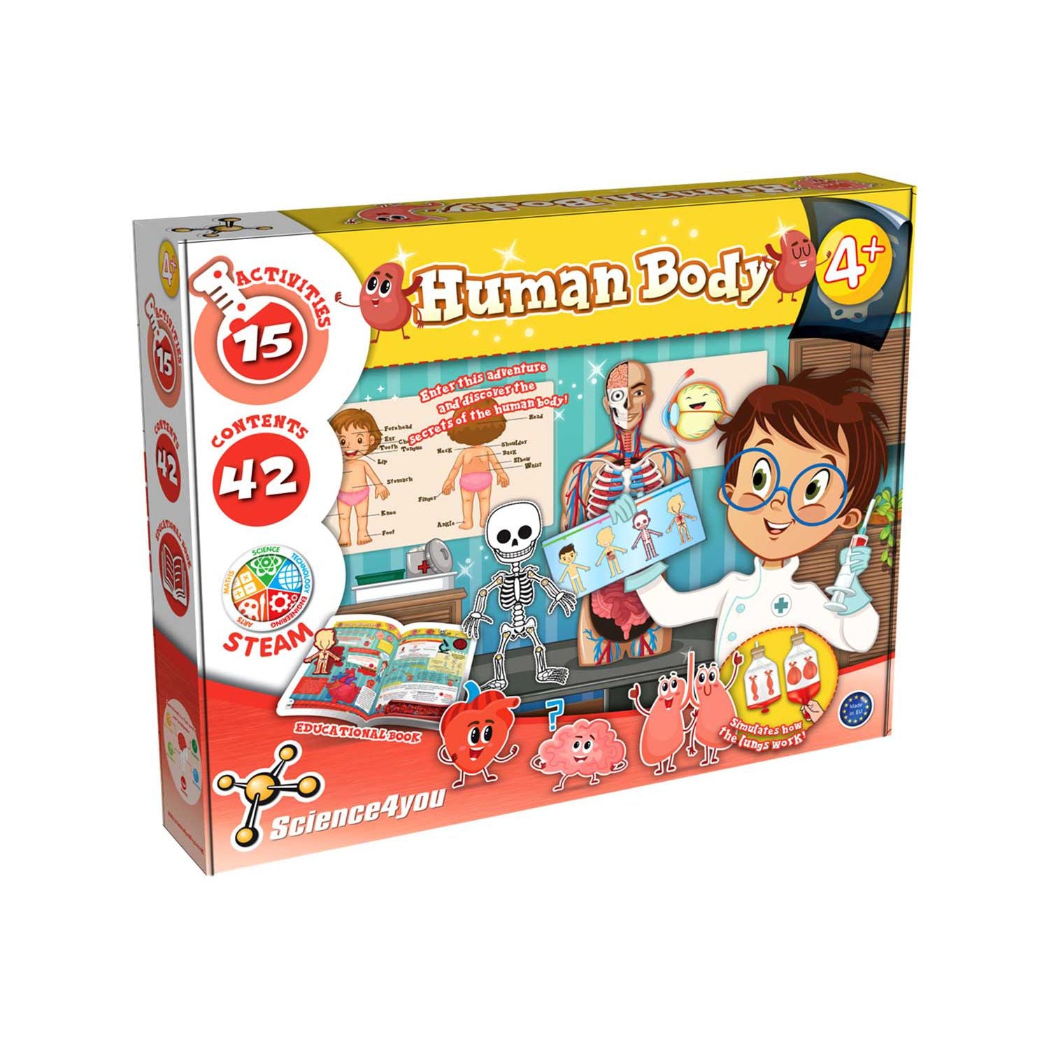 Science 4 You human body playset educational toy - British product