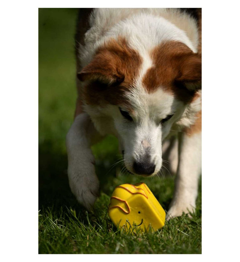 Petface Fondant Fancy latex dog toy - British product