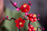 LEGO Plum Blossom Botanicals 327 Pieces, imported from the UK
