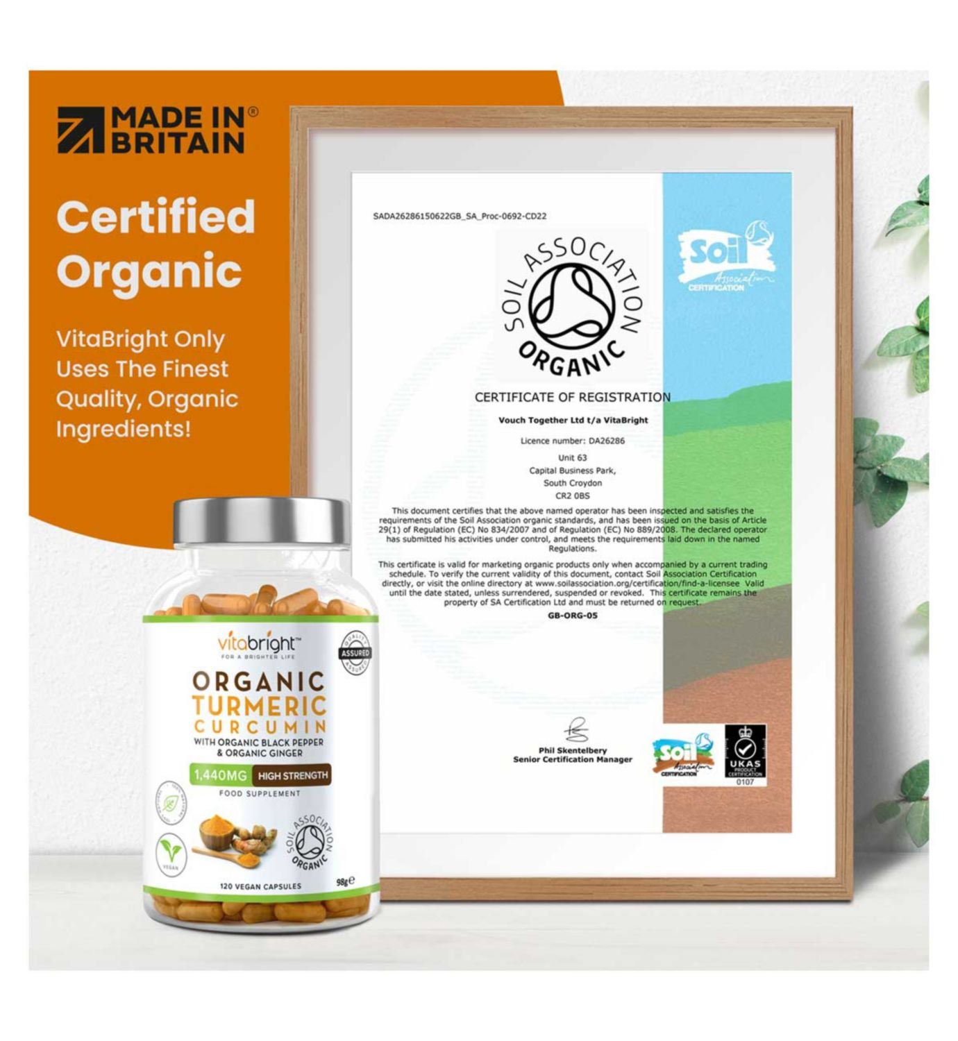 Vitabright organic turmeric curcumin capsules 120 count, UK version