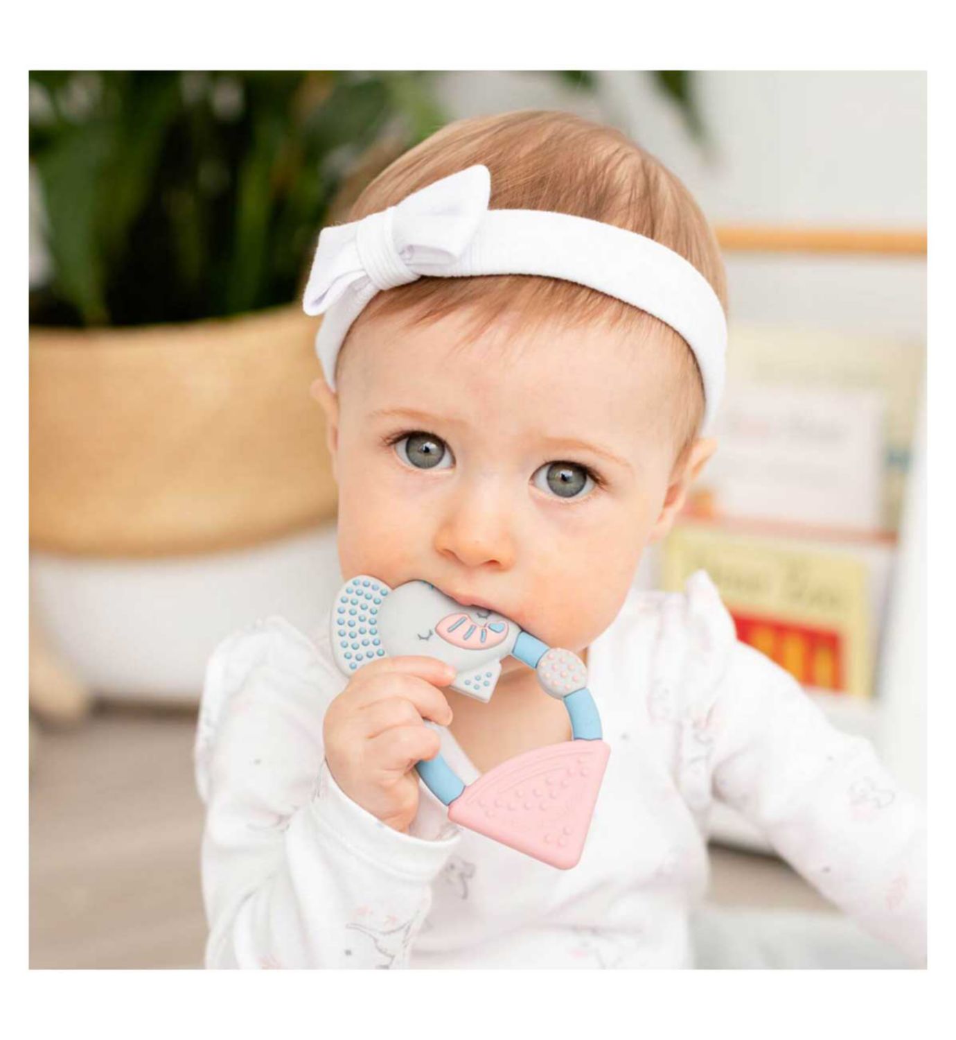 Cheeky Chompers Darcy the Elephant teething toy pack, imported from the UK