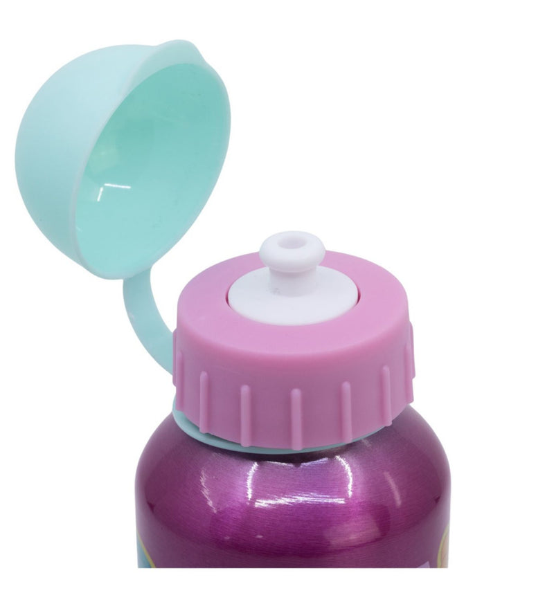 Paw Patrol Girl reusable aluminium bottle 400ml (British brand)