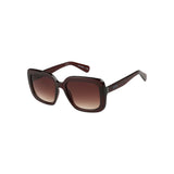 Barbour Sunglasses 3065 square burgundy acetate frame, imported from the UK