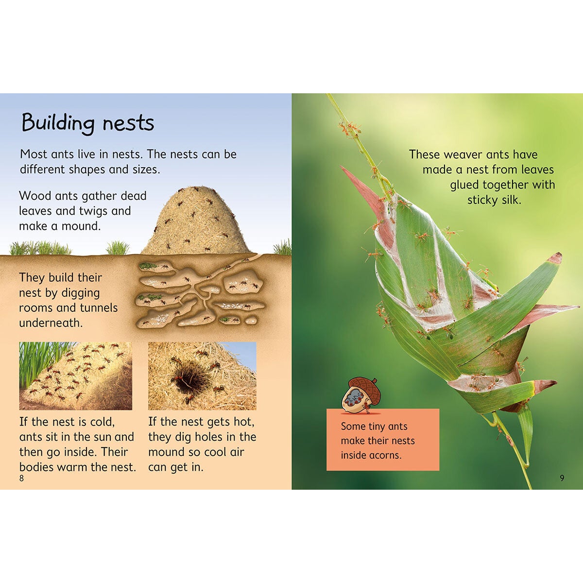 Usborne Beginners Boxset animals nature science, UK version