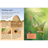 Usborne Beginners Boxset animals nature science, UK version