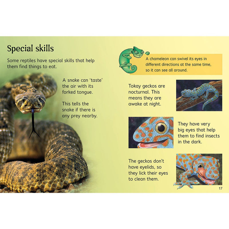 Usborne Beginners Nature Boxset 10-book set, imported from the UK
