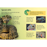 Usborne Beginners Nature Boxset 10-book set, imported from the UK