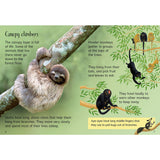 Usborne Beginners Nature Boxset 10-book set, imported from the UK