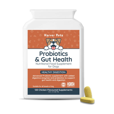 Boots Harver Pets Probiotic and Gut Health Supplement for Dogs Chicken Flavoured 120 Tablets- Buy online at McGrocer