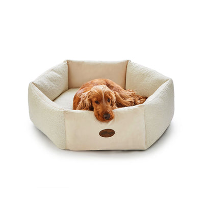 Boots Silentnight Deep Sleep Donut Boucle Pet Bed Natural Large- Buy online at McGrocer