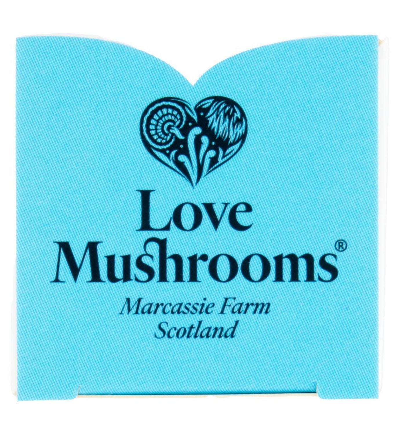 Love Mushrooms Lion's Mane Drops 30ml, imported from the UK
