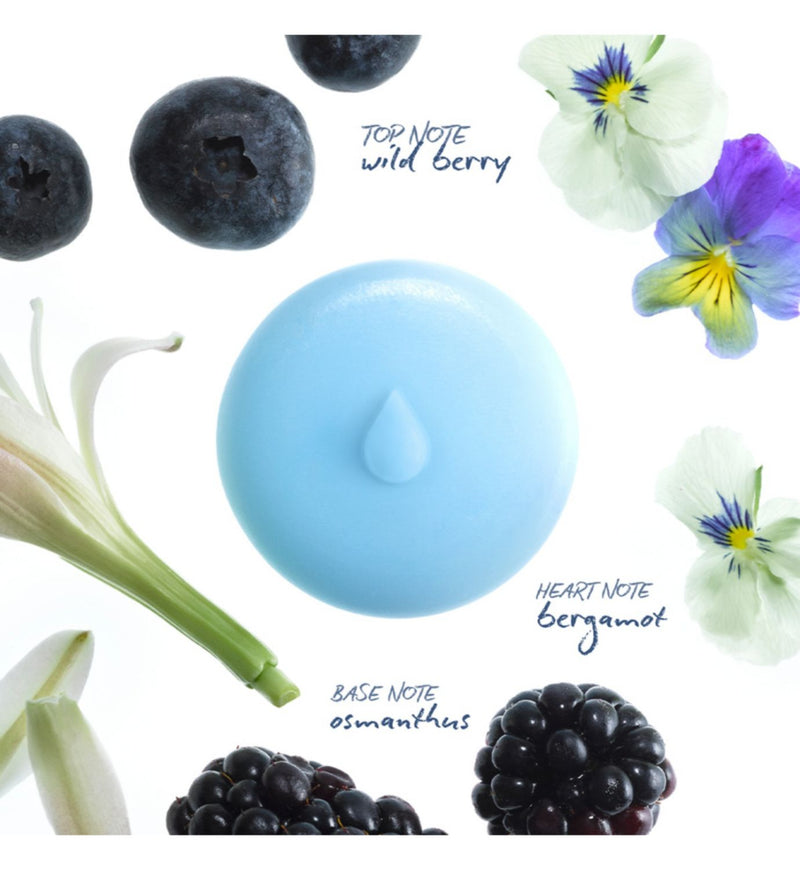 Droplet Berry Oasis wax melts 4s (British brand)