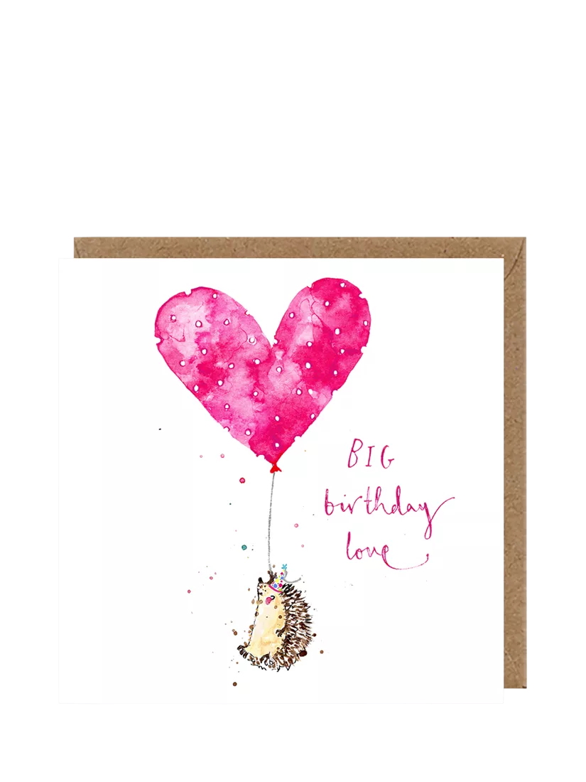 Louise Mulgrew hedgehog birthday card blank inside (British brand)