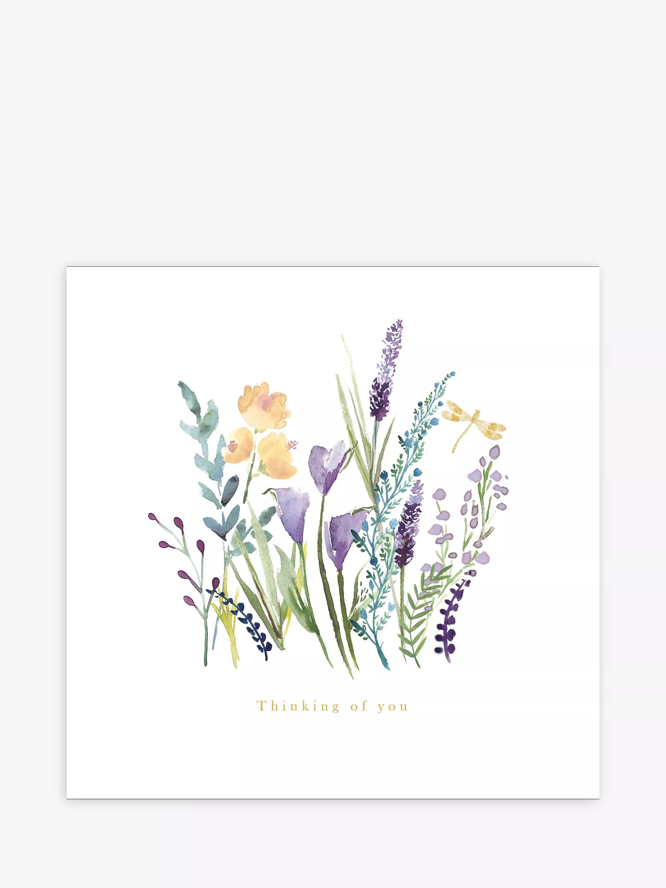 Woodmansterne dragonfly in rushes sympathy card (British brand)