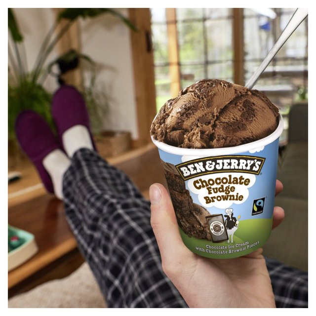 Ben & Jerry's Chocolate Fudge Brownie Ice Cream Tub   465ml GOODS M&S   