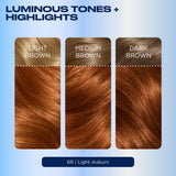 Clairol Nice'N Easy Light Auburn 6R permanent hair dye, UK version