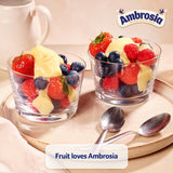 Ambrosia custard dessert snack pots 4x120g - British product