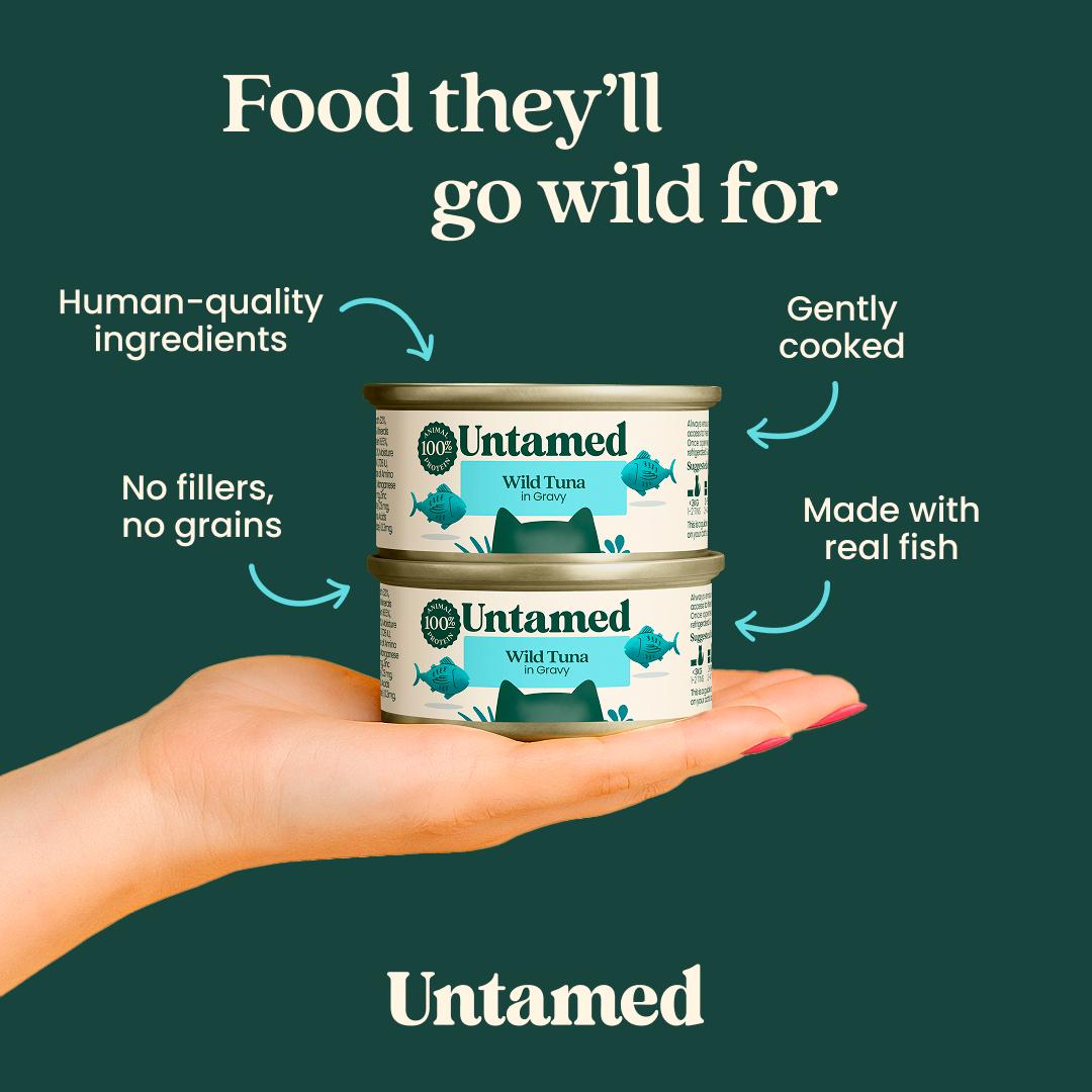 Untamed wet cat food fish selection box 6 x 75g, UK version