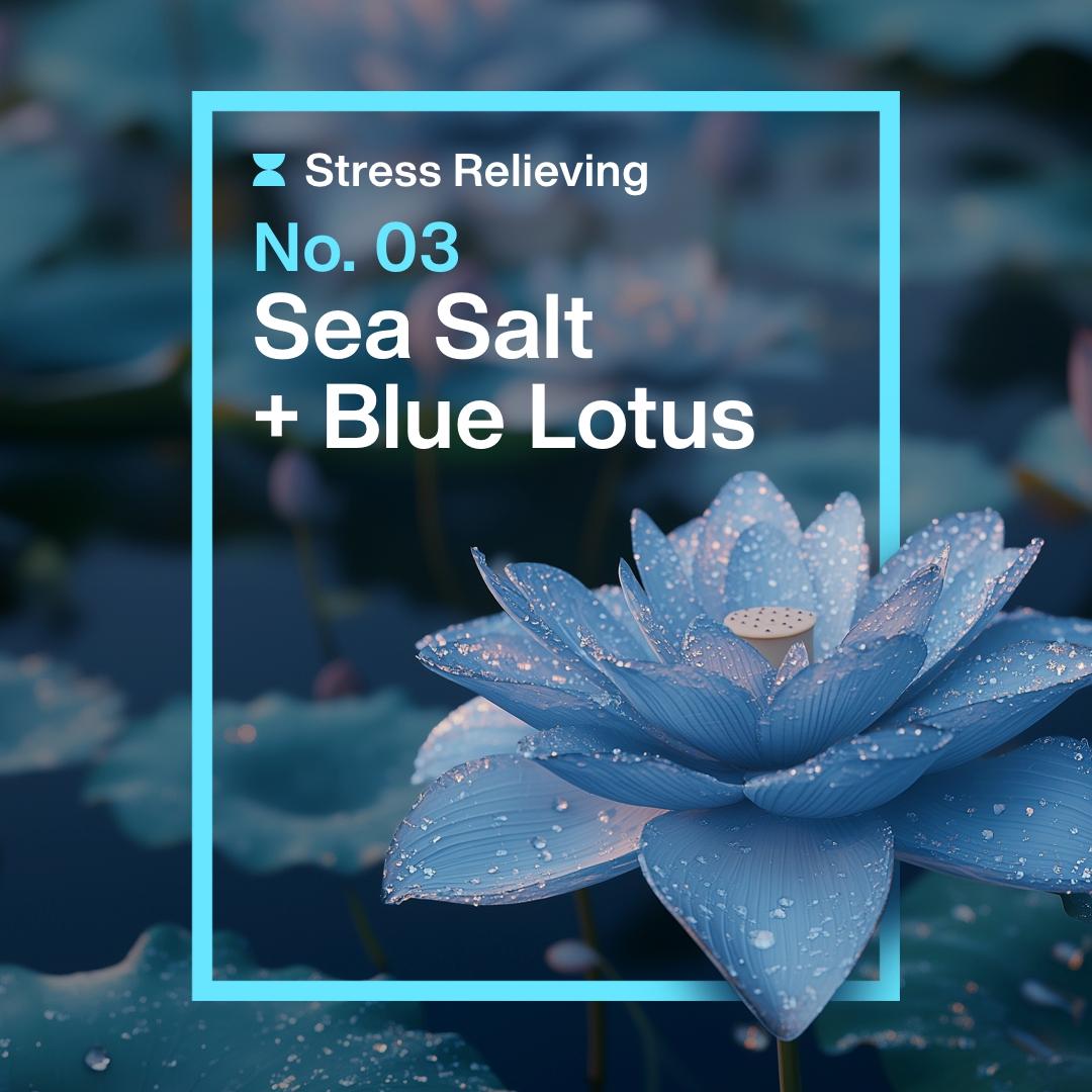 Ineos antiperspirant roll-on Sea Salt + Blue Lotus 50ml, imported from the UK