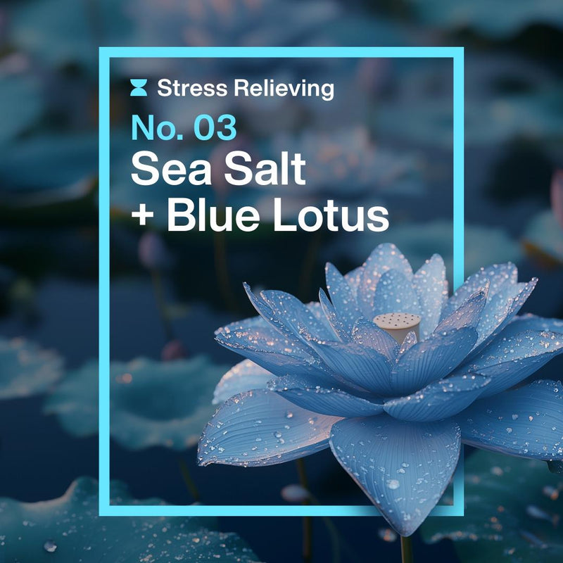 Ineos antiperspirant roll-on Sea Salt + Blue Lotus 50ml, imported from the UK