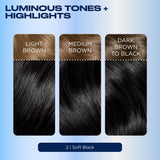 Clairol Nice'N Easy Black 2 permanent hair dye - British product