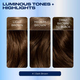 Clairol Nice'N Easy Dark Brown 4 permanent hair dye - British product