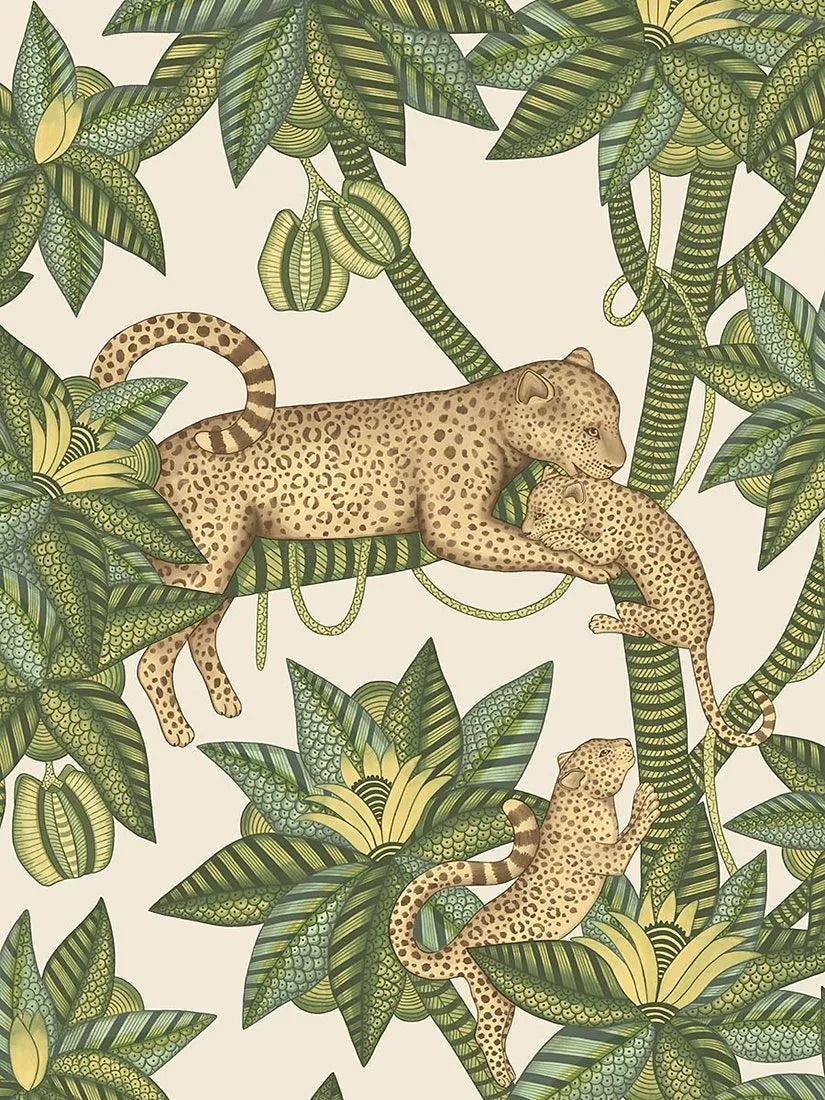 Cole & Son Satara Wallpaper 10m x 52cm