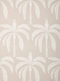 John Lewis ANYDAY Desert Palm Wallpaper